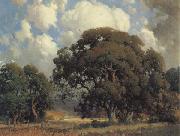 California landscape